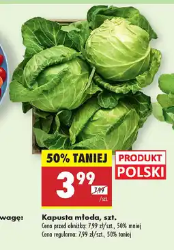 Biedronka Kapusta młoda oferta