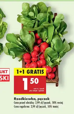 Biedronka Rzodkiewka oferta
