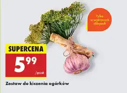 Biedronka Zestaw do kiszenia ogórków oferta
