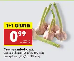 Biedronka Czosnek młody oferta
