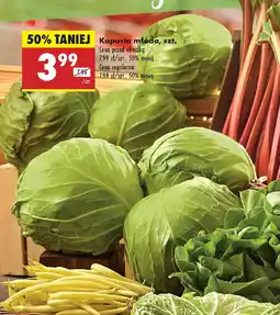 Biedronka Kapusta młoda oferta