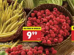 Biedronka Polska malina, opak. oferta