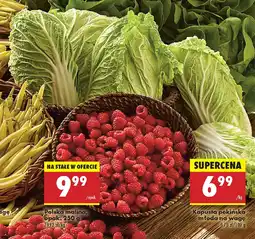 Biedronka Kapusta pekińska młoda na wagę oferta