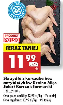 Biedronka Skrzydła z kurczaka bez antybiotyków Kraina Mięs Select Kurczak farmerski oferta