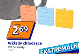 Action Wkłady chłodzące oferta