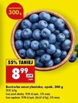 Biedronka Borówka amerykańska opak 300 g oferta