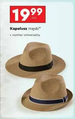 Biedronka Kapelusz męski oferta