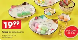 Biedronka Talerz do serwowania oferta