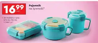 Biedronka Pojemnik na żywność oferta