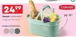 Biedronka Koszyk uniwersalny oferta