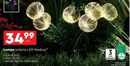 Biedronka Lampa solarna LED Meduzy oferta