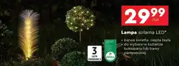 Biedronka Lampa solarna LED oferta