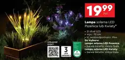 Biedronka Lampa solarna LED Pszenica lub Kwiaty oferta