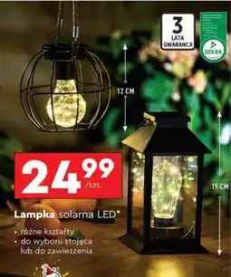 Biedronka Lampka solarna LED oferta