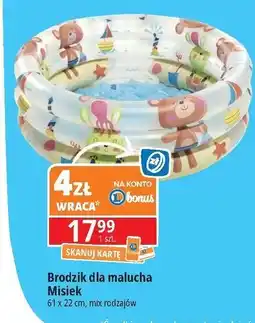 E.Leclerc Brodzik dla malucha wym. 61 x 22 cm oferta