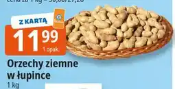 E.Leclerc Orzechy ziemne w łupinie oferta