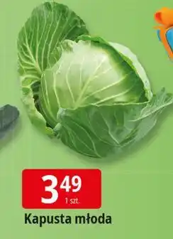 E.Leclerc Kapusta młoda oferta