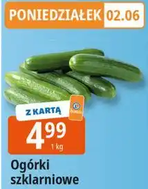 E.Leclerc Ogórek krótki szklarniowy oferta