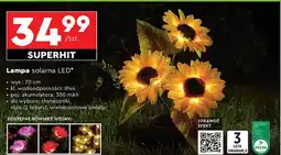 Biedronka Lampa solarna led 70 cm słoneczniki oferta