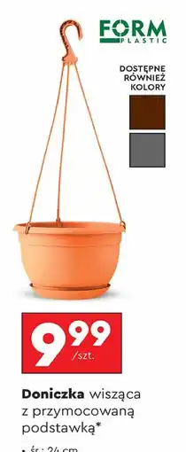Biedronka Donica wisząca śr. 24 cm Form-Plastic oferta