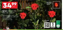 Biedronka Lampa solarna tulipan oferta