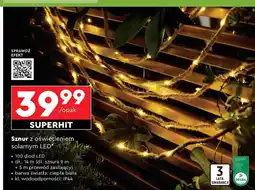 Biedronka Sznur solarny 100 led oferta