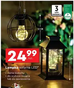 Biedronka Lampa ogrodowa solarna led oferta