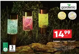 Biedronka Lampa solarna słupek led 31 cm Gardenic oferta