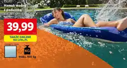 Lidl Crivit hamak wodny z poduszką oferta
