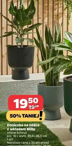 Netto Doniczka na nóżce z wkładem milly 29.8 x 36.5 cm oferta