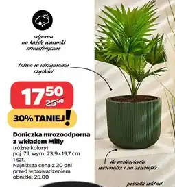 Netto Doniczka mrozoodporna z wkładem milly 7 l oferta