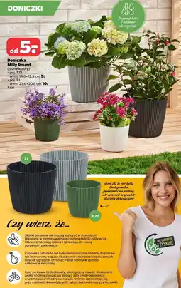 Netto Doniczka milly round 7 l Prosperplast oferta