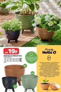 Netto Doniczka furu 39.5 x 32 cm oferta
