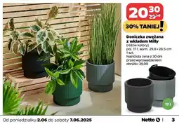Netto Doniczka zwężana z wkładem milly 17 l oferta