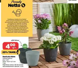 Netto Doniczka mate 1.37 l oferta