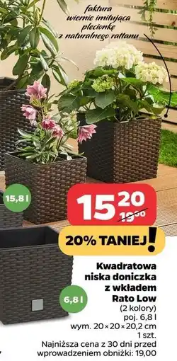 Netto Doniczka rato low 6.8l oferta