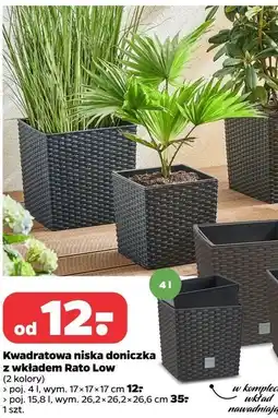 Netto Doniczka rato low 4l oferta