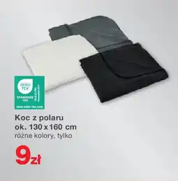KiK Koc z polaru oferta