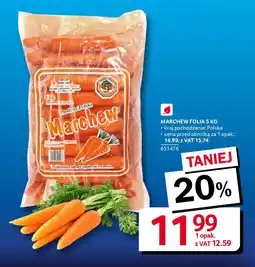 Selgros Marchew folia oferta