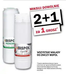 Selgros Wszystkie wkłady do zniczy bispol oferta
