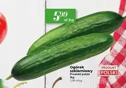 Społem Ogórek Polski oferta