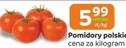 Społem Pomidory oferta