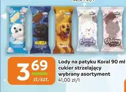 Społem Lody Koral oferta