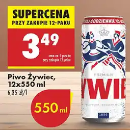 Biedronka Piwo Żywiec oferta