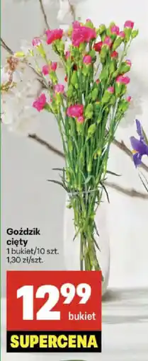 Delikatesy Centrum Goździk cięty oferta