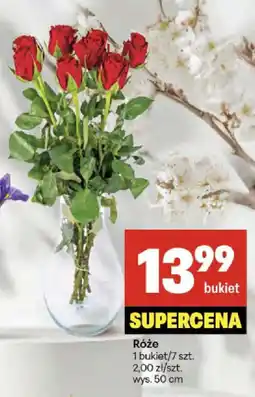 Delikatesy Centrum Róże oferta
