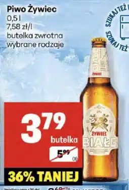 Delikatesy Centrum Piwo Żywiec oferta