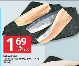 Selgros Śledź płat oferta