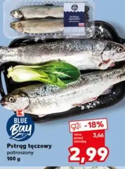 Kaufland Pstrąg tęczowy K-Blue Bay oferta