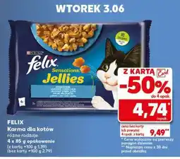 Kaufland FELIX Karma dla kotów oferta